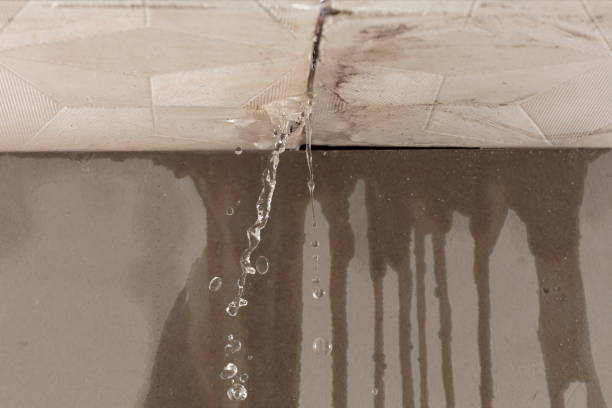 Professional Water Damage Repair technician working in Little River-Academy, TX
